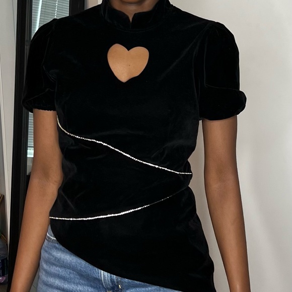 Velvet Blouse - Picture 4 of 4